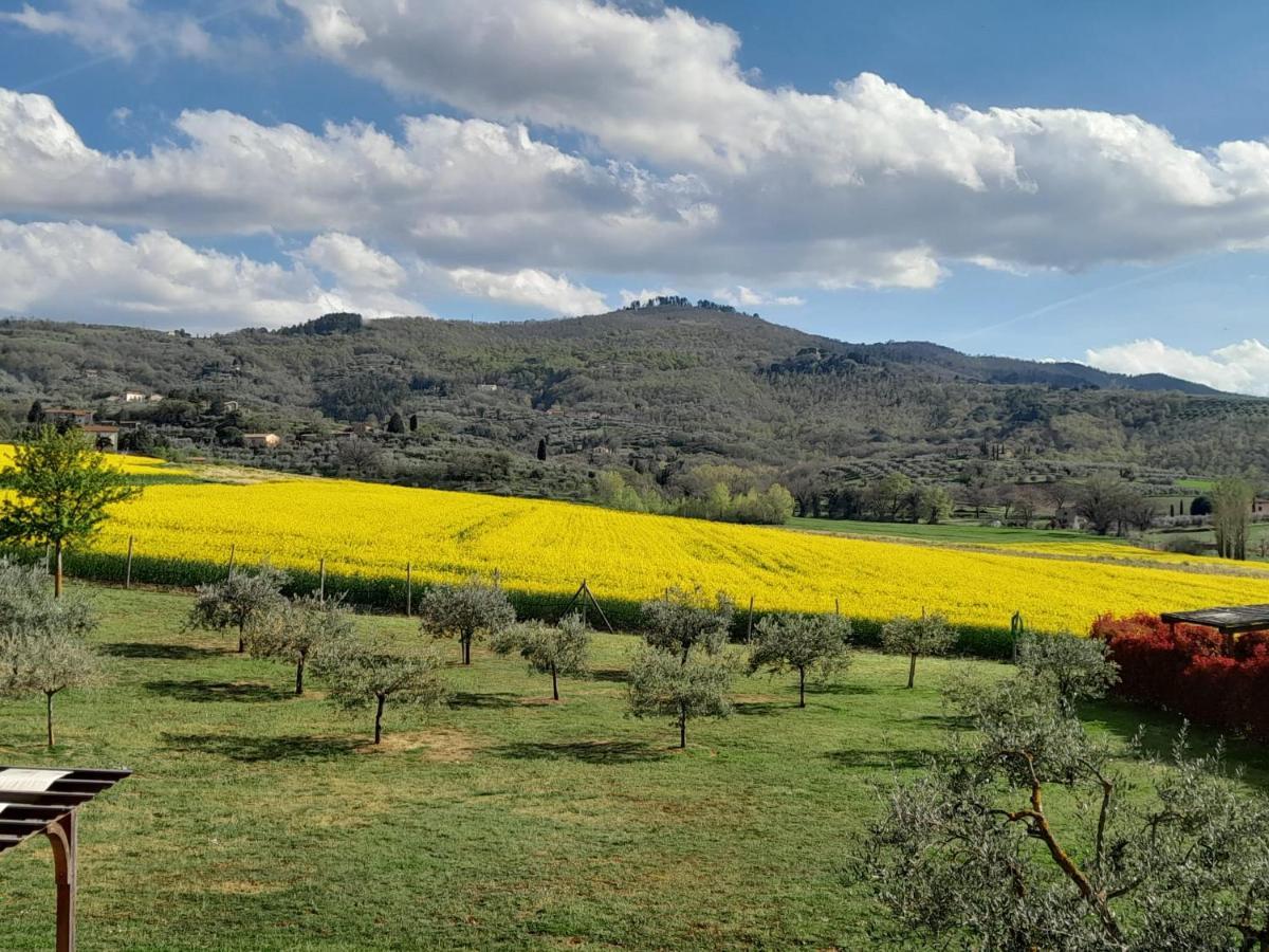 Podere Molinaccio 帕尼卡莱 外观 照片