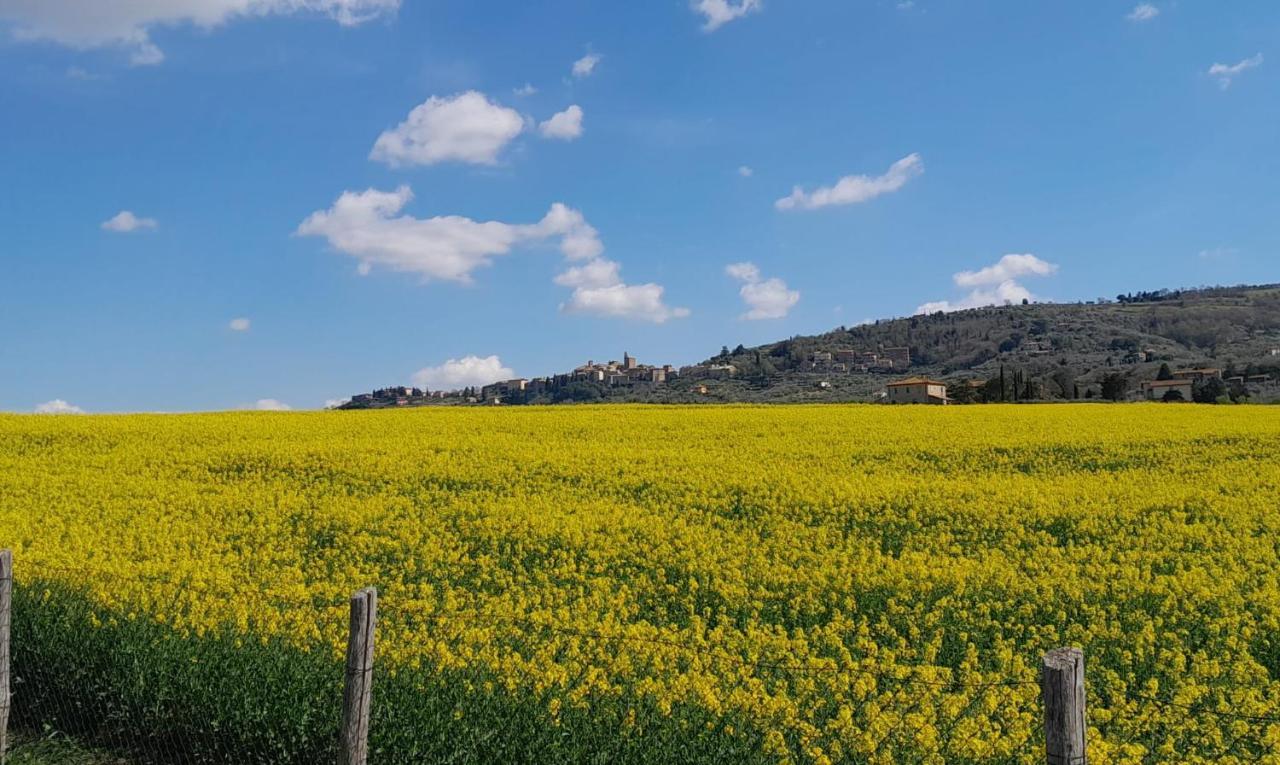 Podere Molinaccio 帕尼卡莱 外观 照片