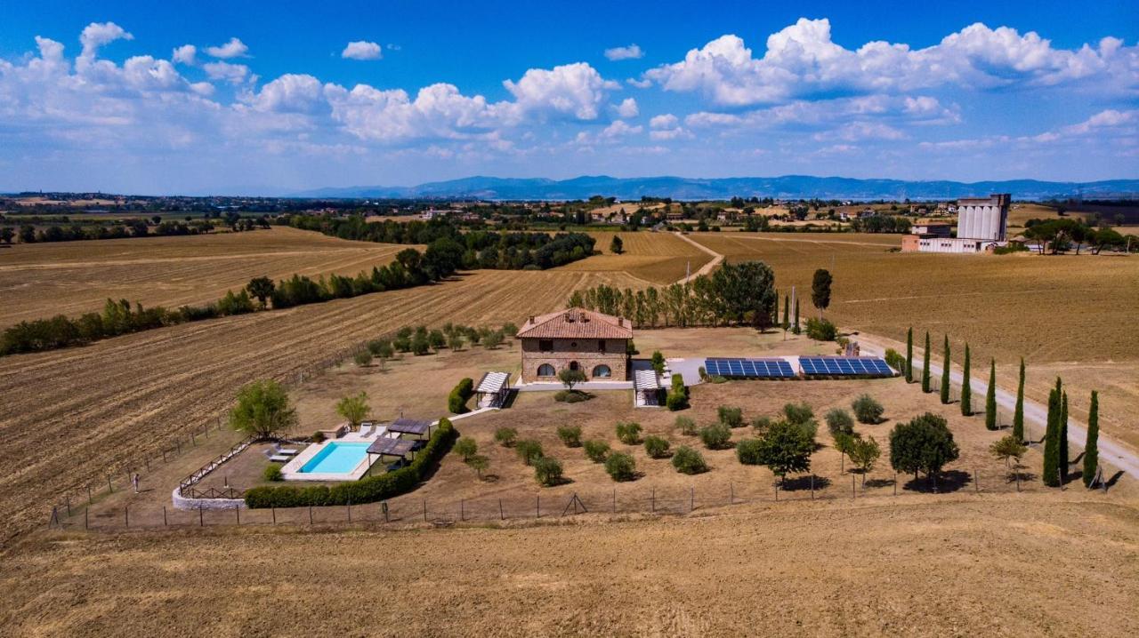 Podere Molinaccio 帕尼卡莱 外观 照片