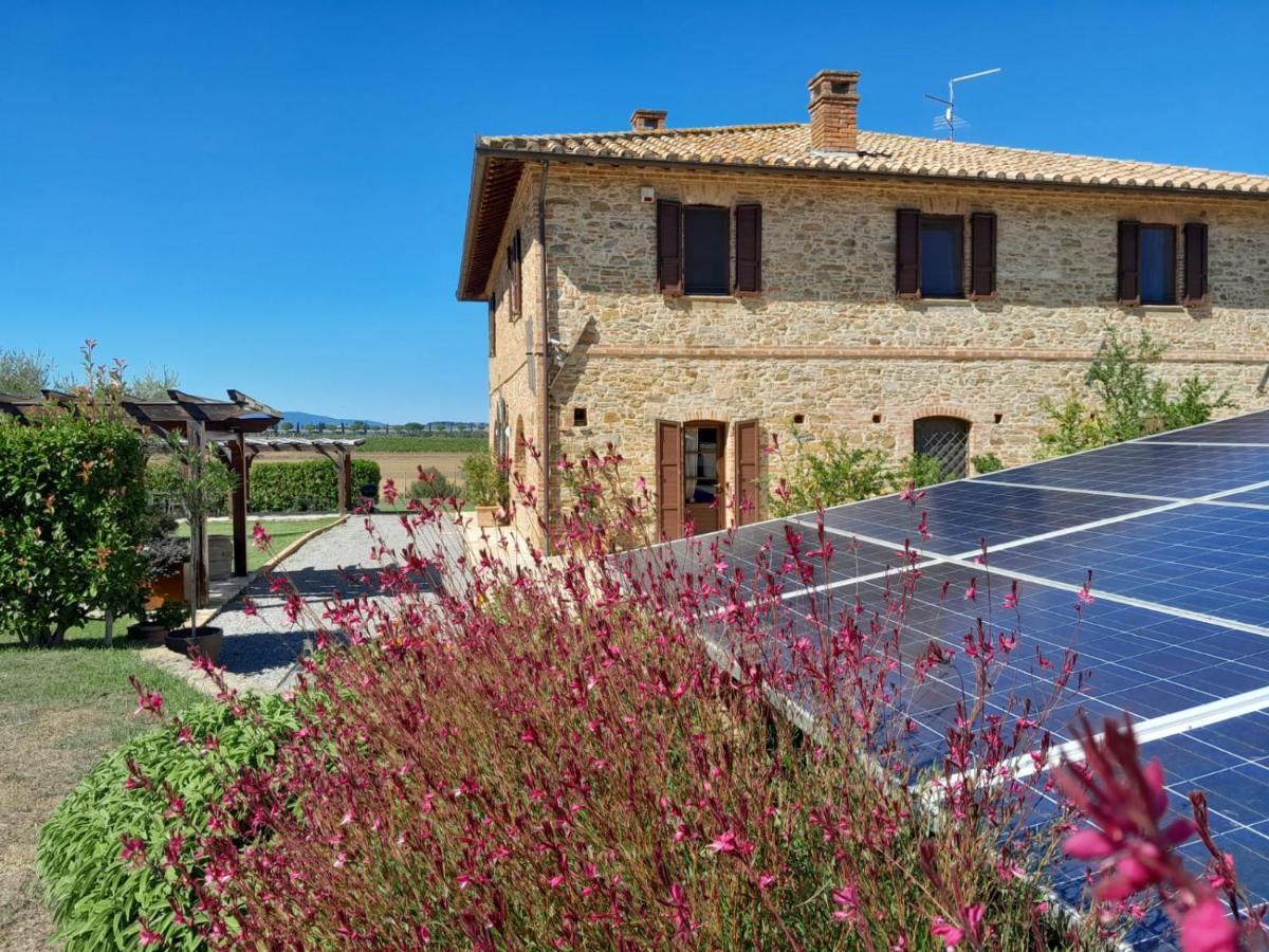 Podere Molinaccio 帕尼卡莱 外观 照片