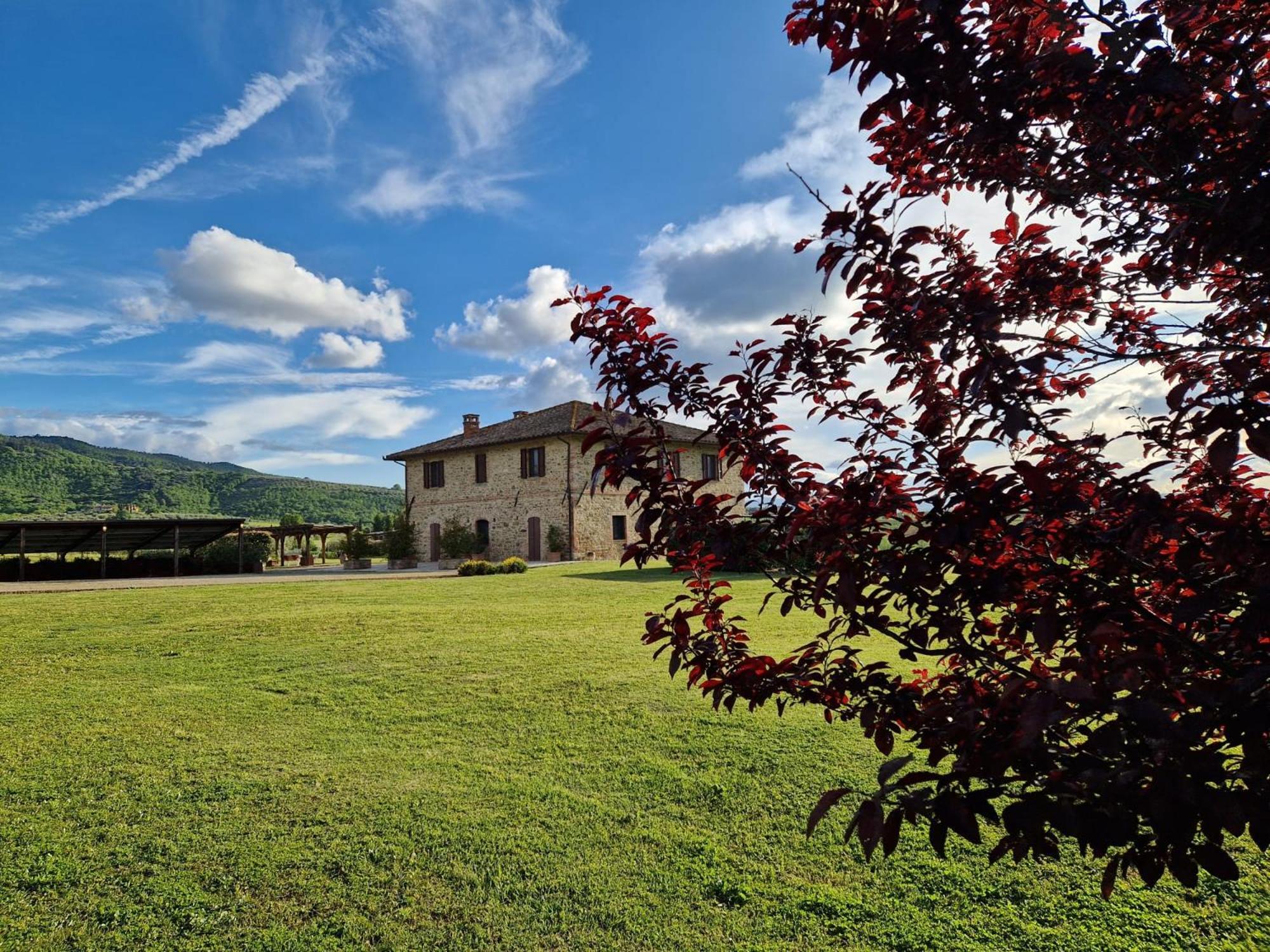Podere Molinaccio 帕尼卡莱 外观 照片