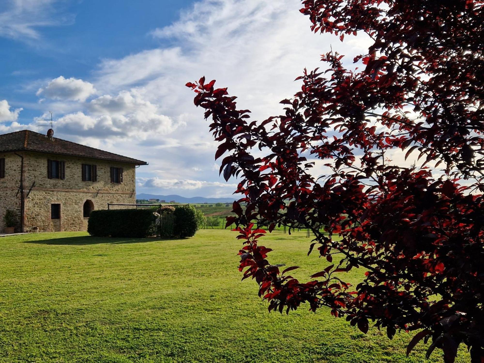 Podere Molinaccio 帕尼卡莱 外观 照片